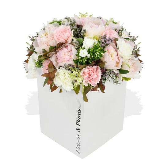 Original by Flowers & Plants Co — flowers available for delivery from Floom