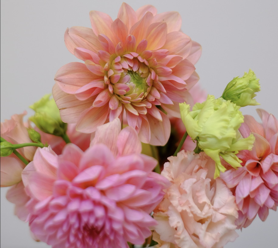 Original by Orchidya — flowers available for delivery from Floom