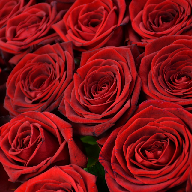 Original by Moyses Stevens Flowers — flowers available for delivery from Floom