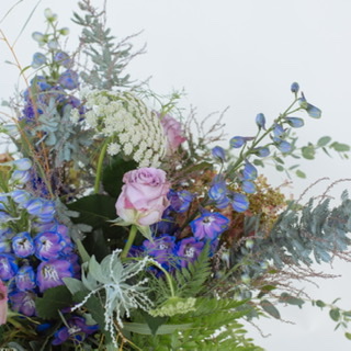 To the Moon and Back