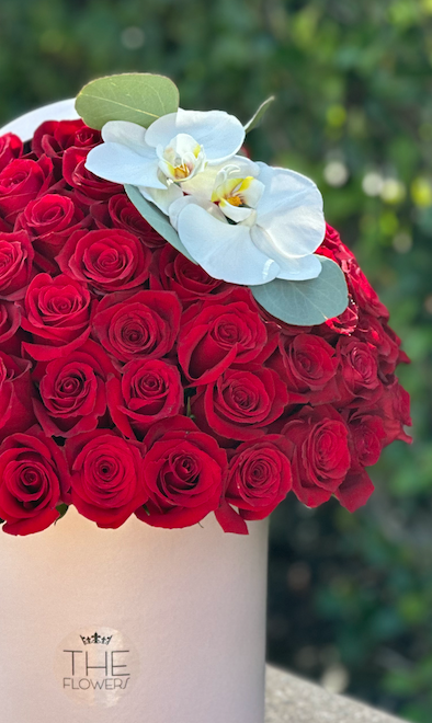 Red Roses Delight