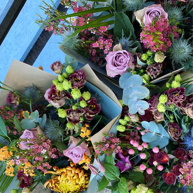Seasonal Bunch