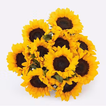 Sunflowers by BloomsyBox — flowers available for delivery from Floom