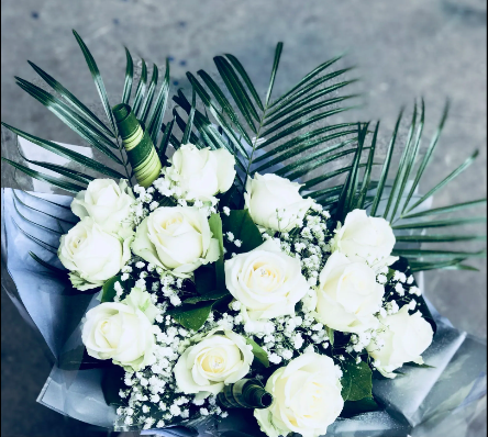 Purest Of White Roses