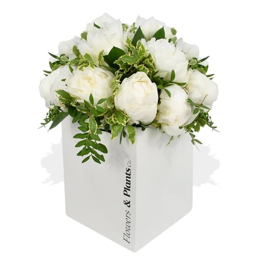 Original by Flowers & Plants Co — flowers available for delivery from Floom