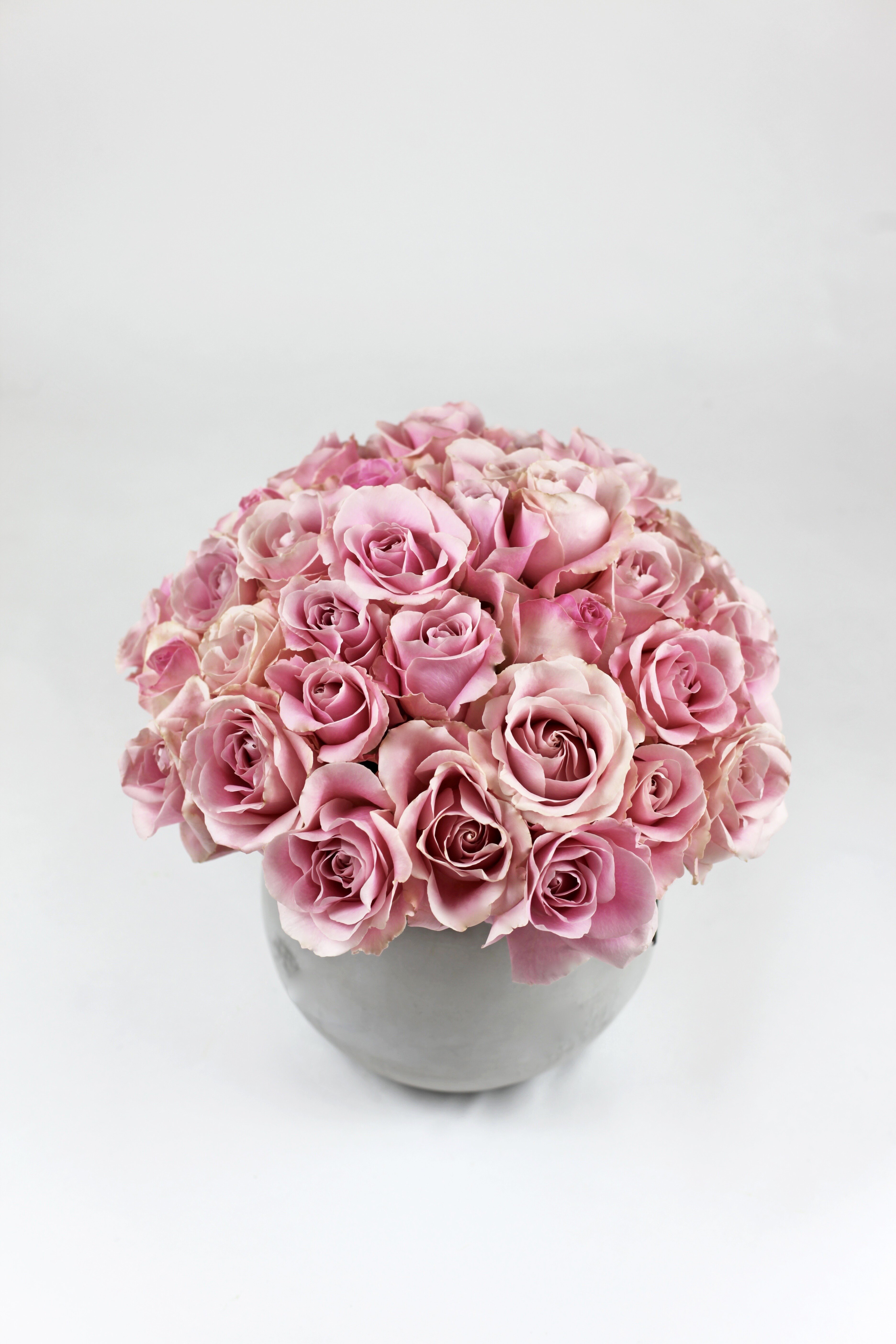 Maria De Los Angeles