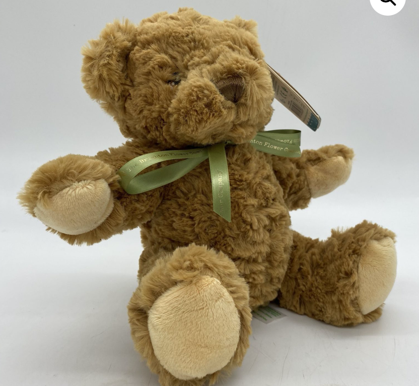 Eco Teddy Bear