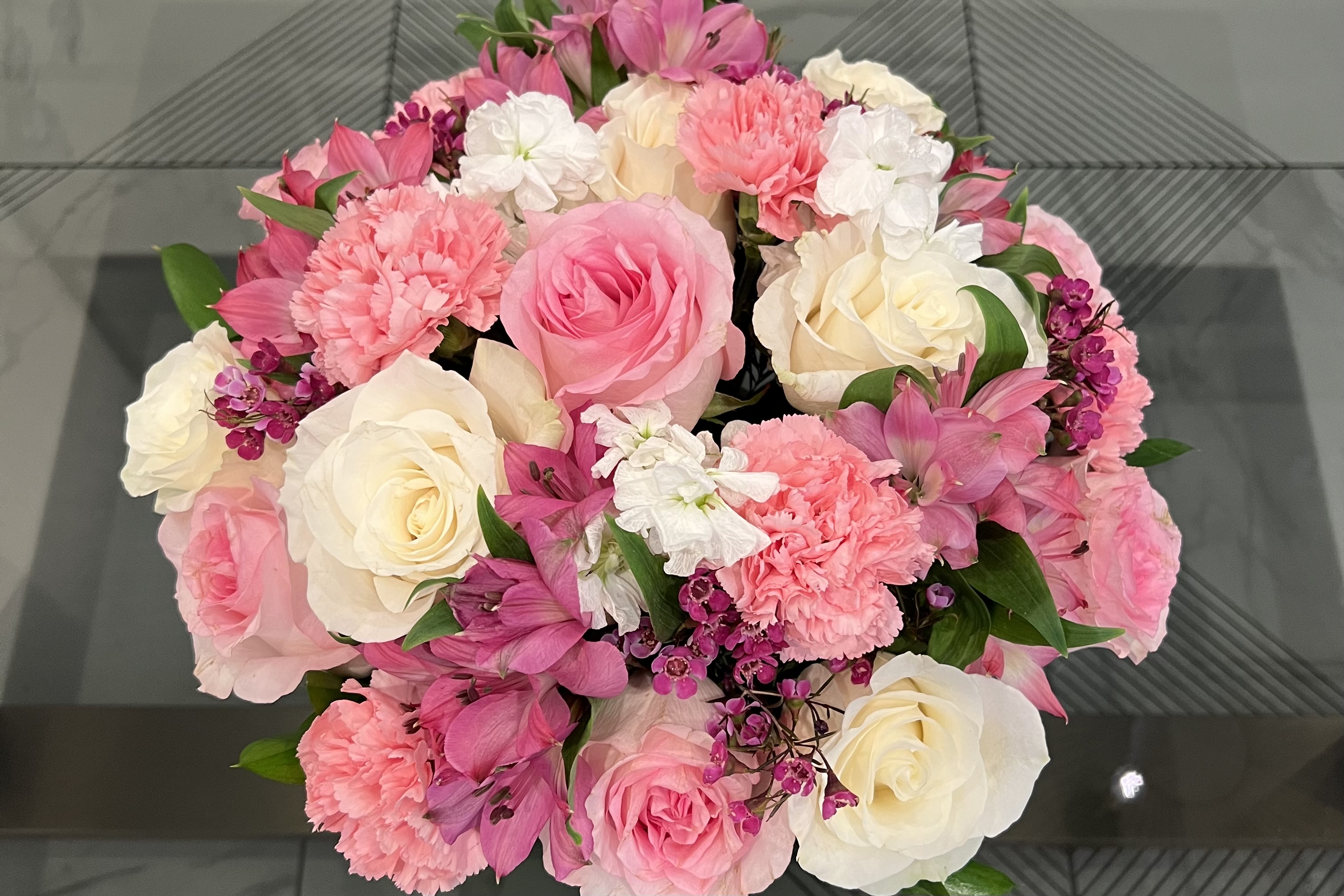 Graceful Bloom – A Mo