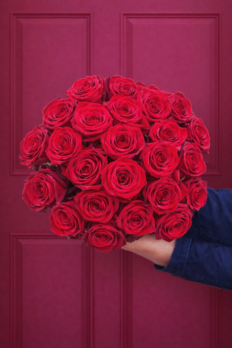 Red Rose - Two Dozen