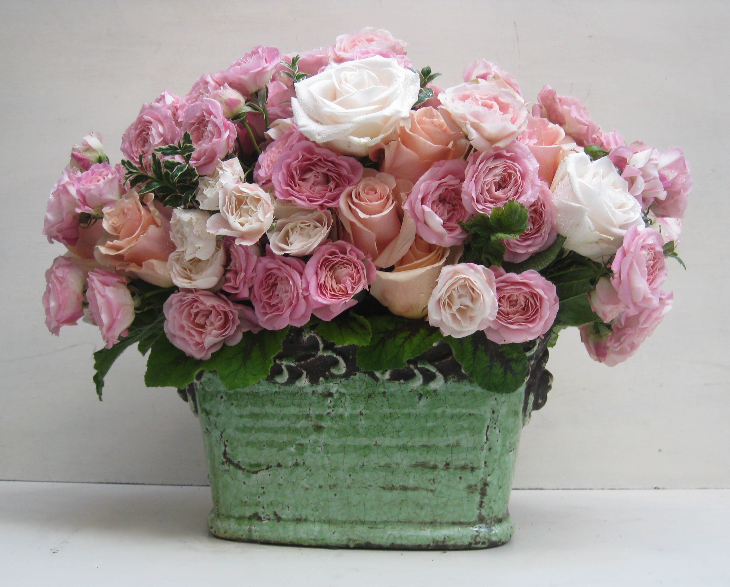 Romantic Rose