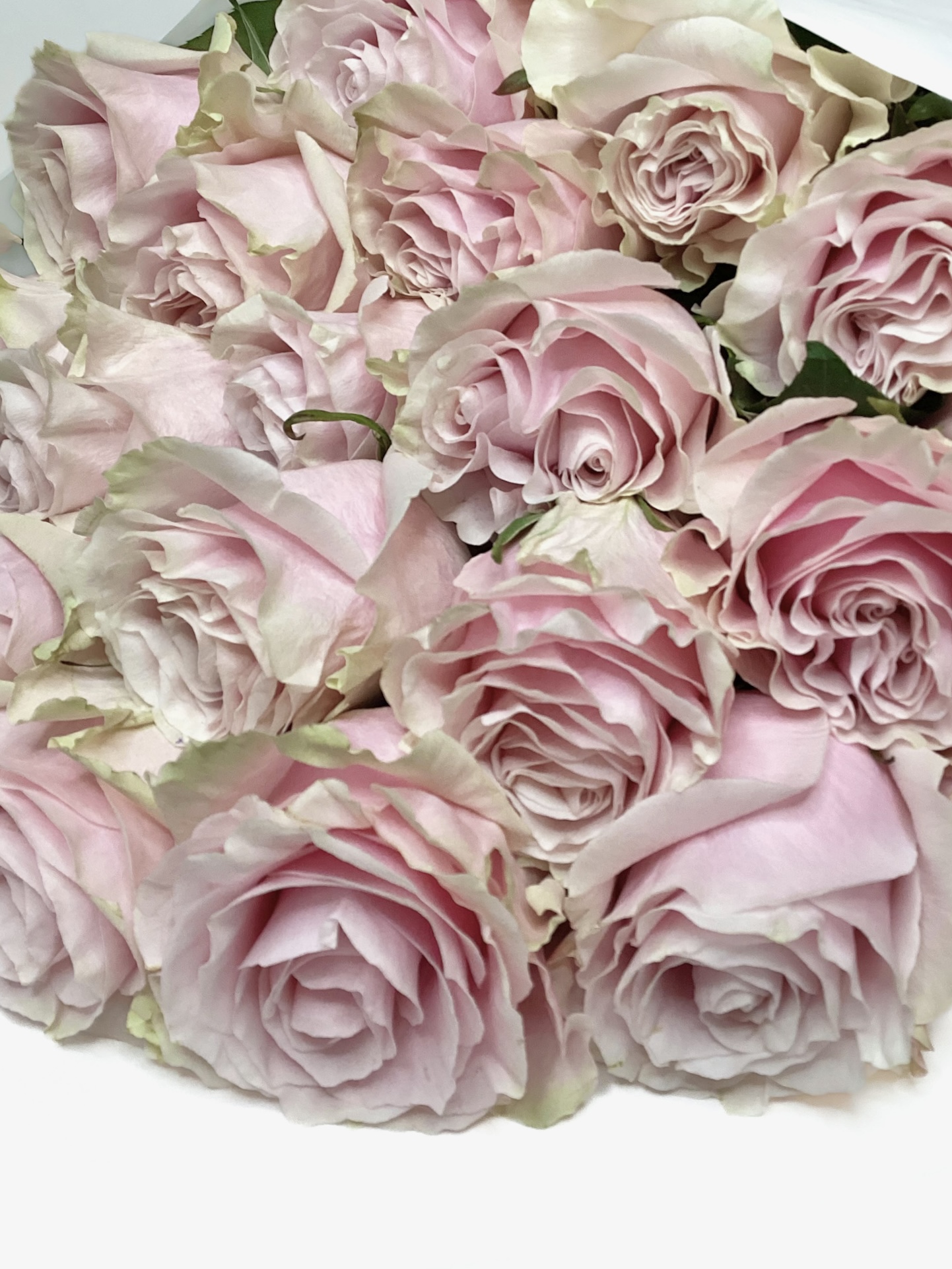 Original by Essence — flowers available for delivery from Floom
