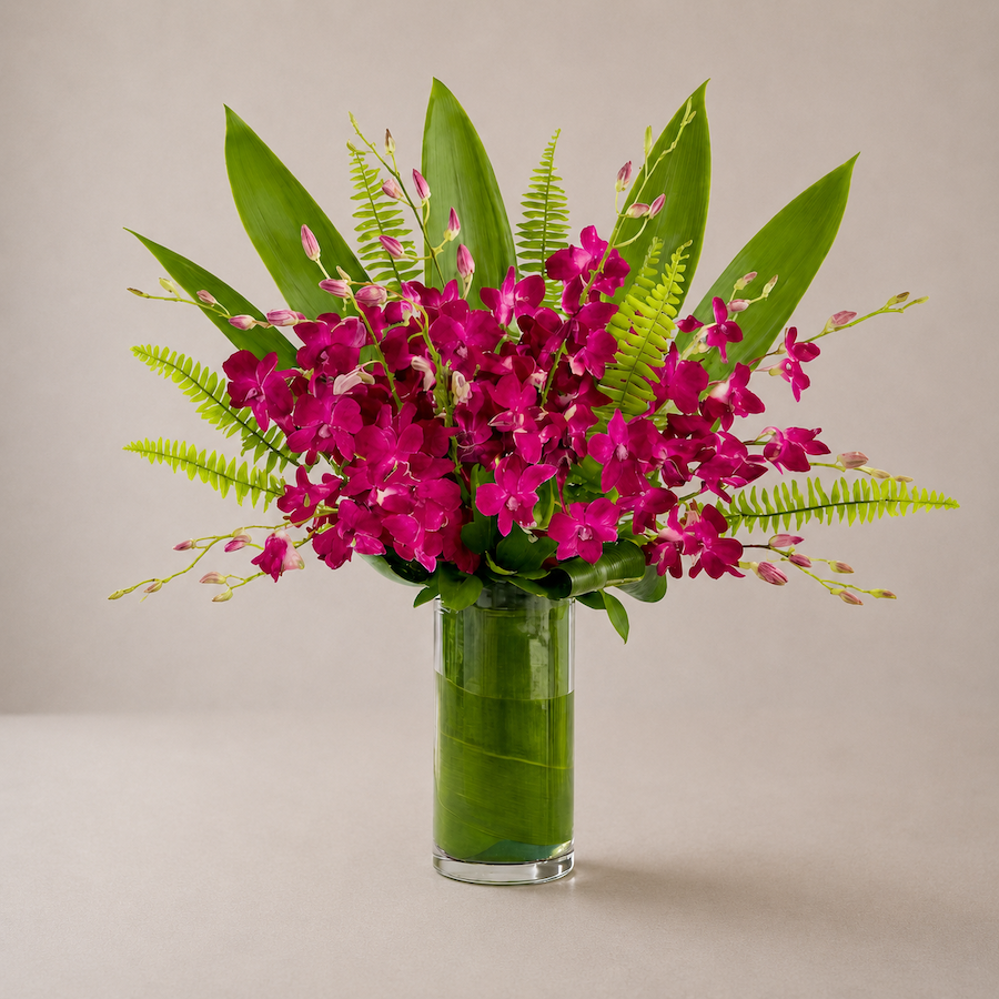Orchid Radiance by My Blooming Business — flowers available for delivery from Floom