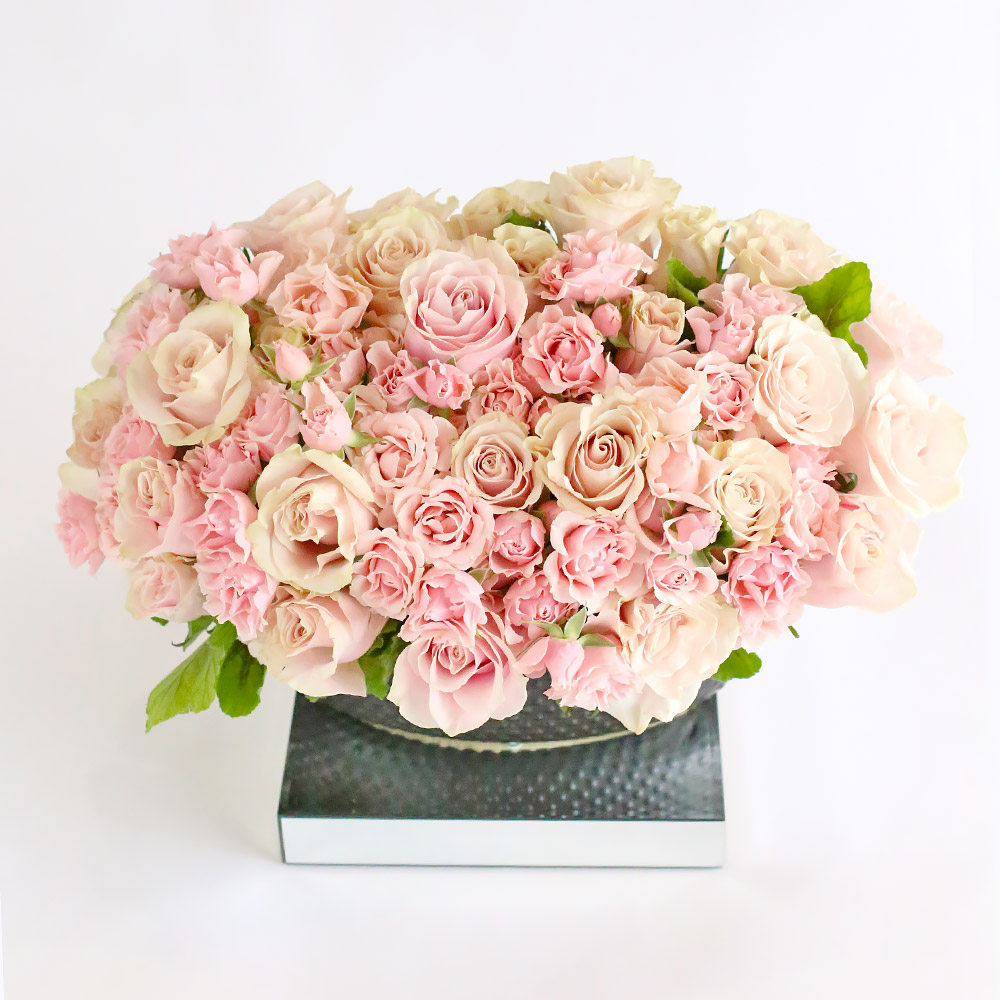 Pink Ardor Roses