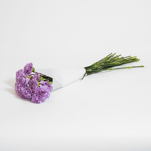 Purple Rain