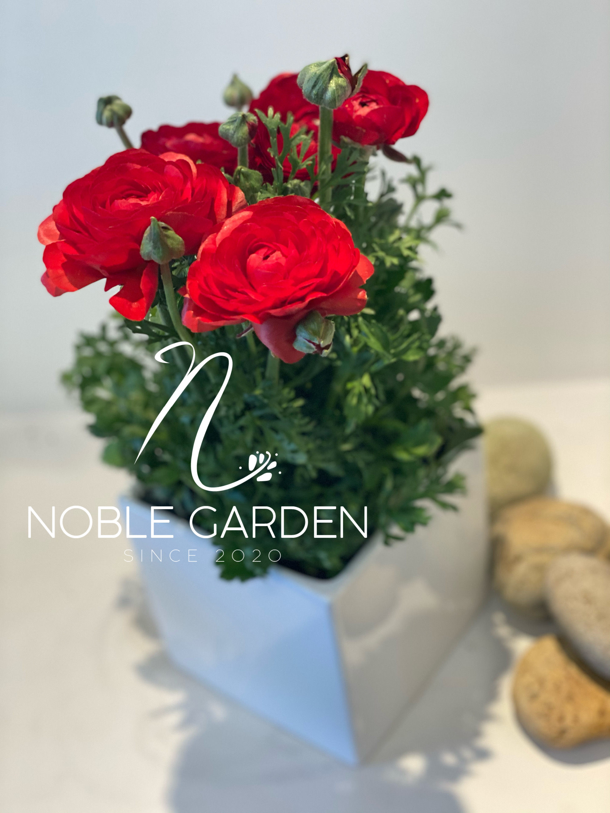 Original by Noble Garden — flowers available for delivery from Floom