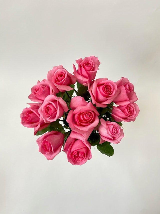 Bloomin' Love