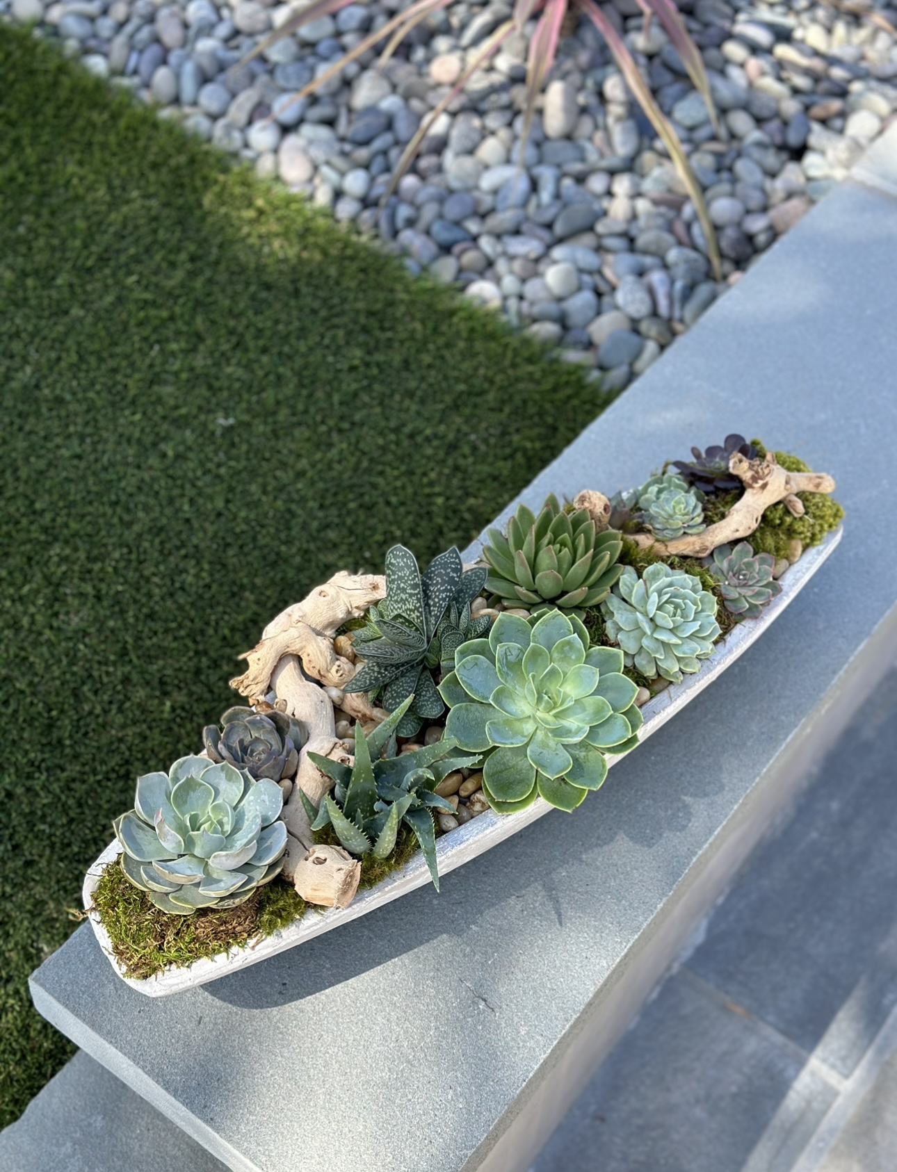 Succulent Boat