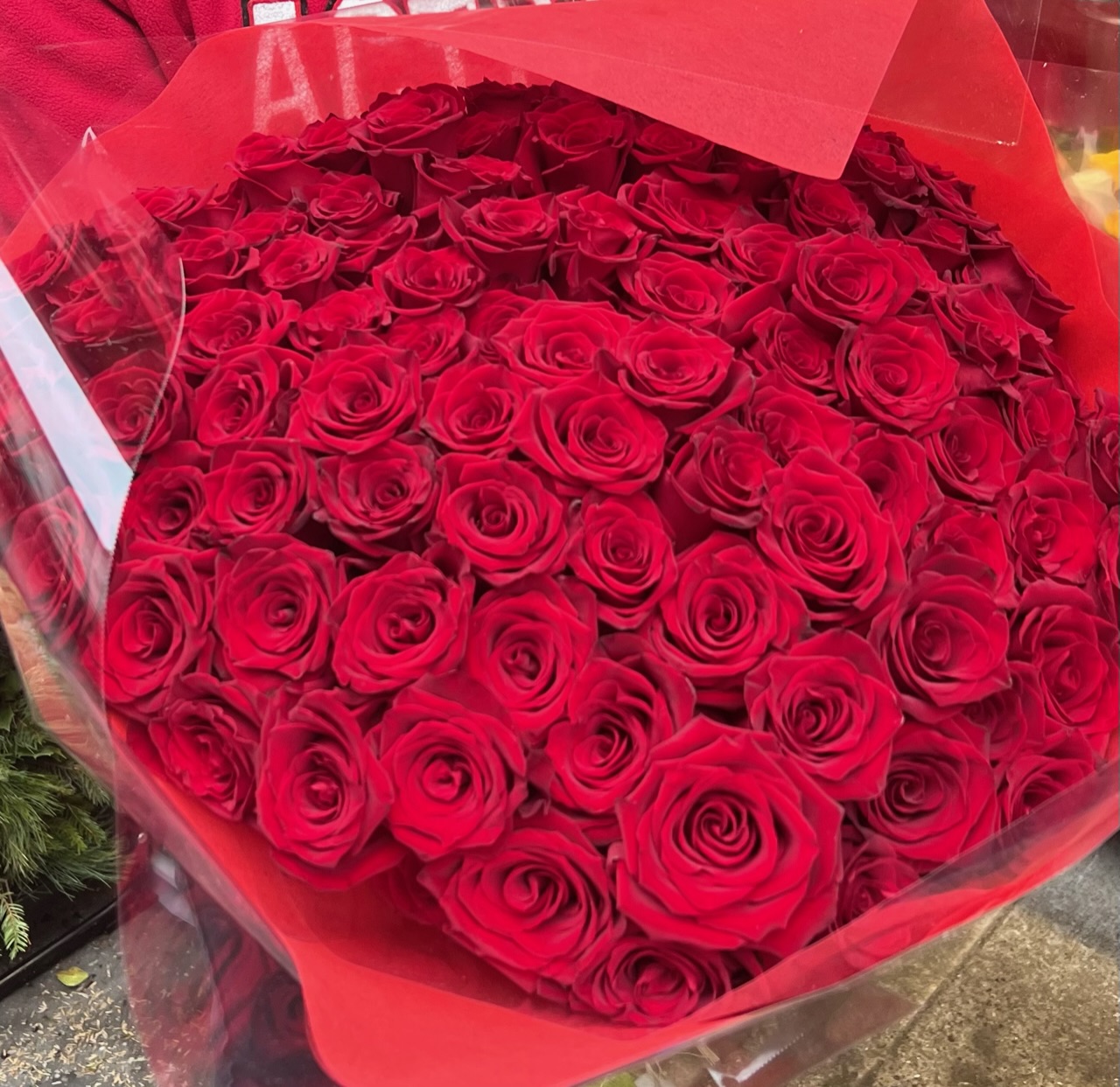 100 red roses