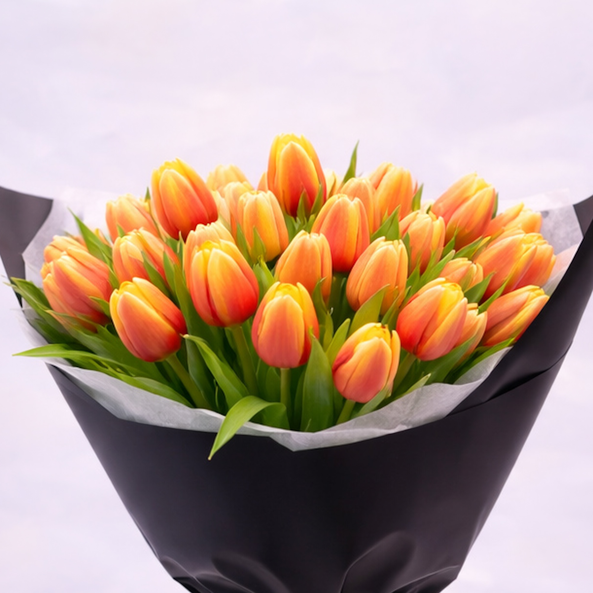 Classic Orange Tulips