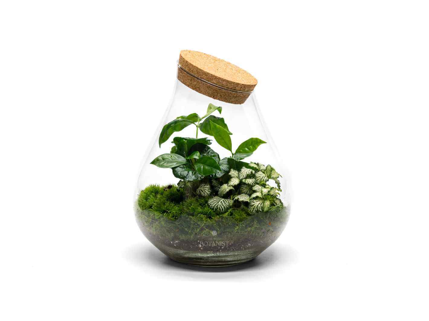 Terrarium Baker St