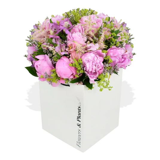 Original by Flowers & Plants Co — flowers available for delivery from Floom