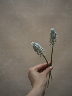 Breakfast at Tiffany'