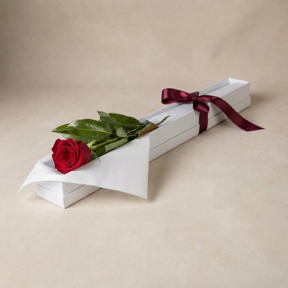 Red Rose in Box