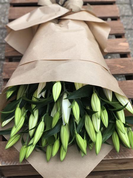 Eco Wrap of Lilies