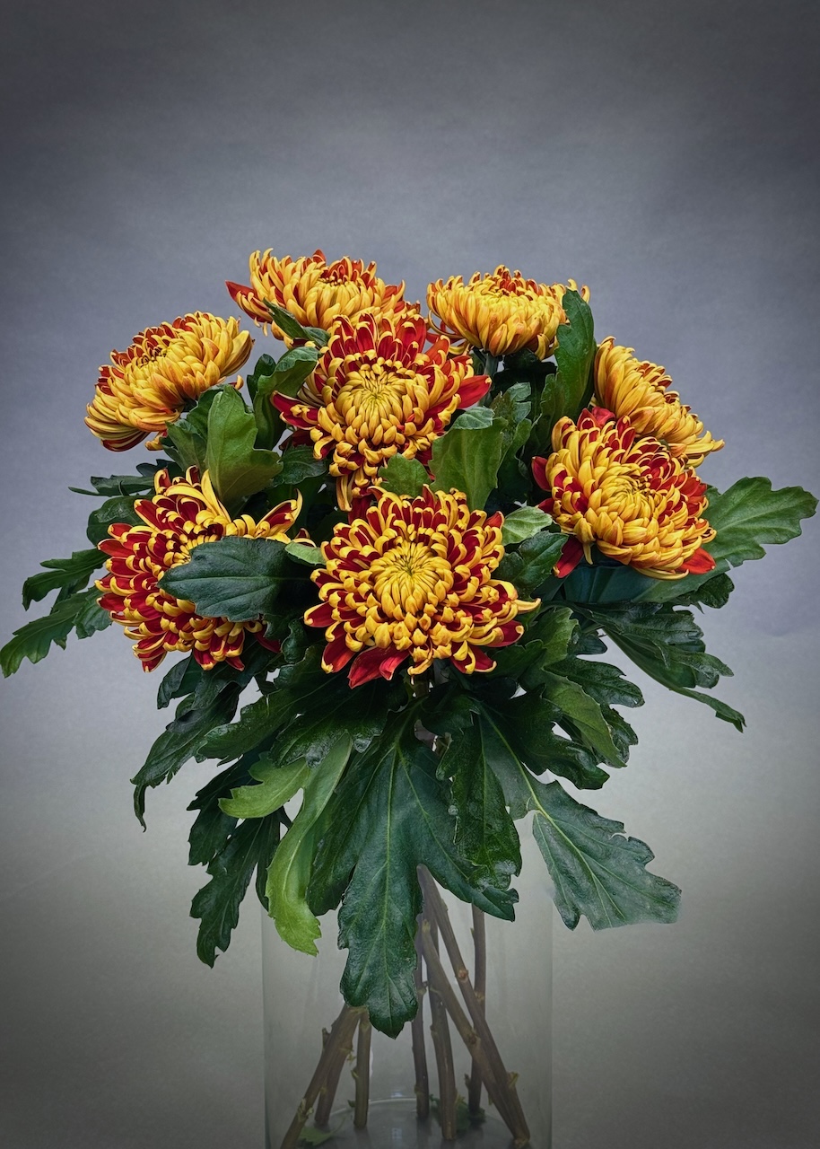 Original by Maples Flowers — flowers available for delivery from Floom