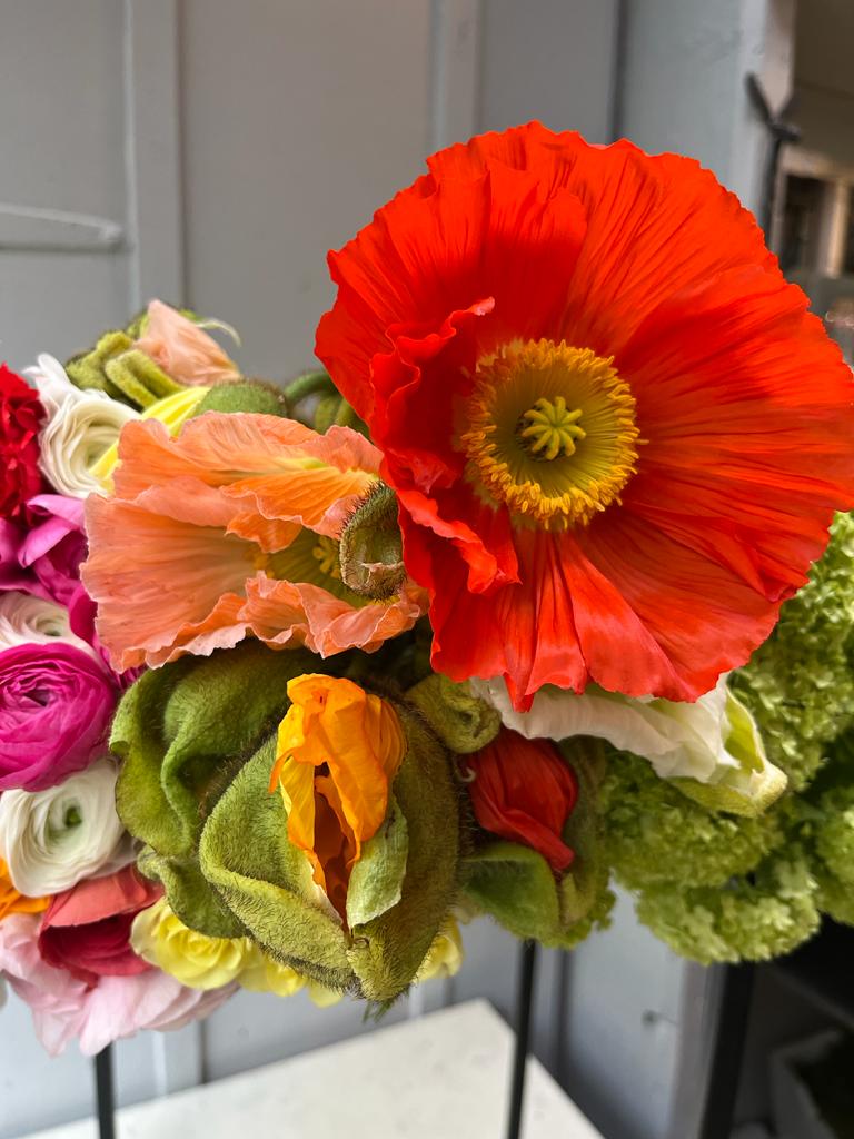 A poppy bouquet