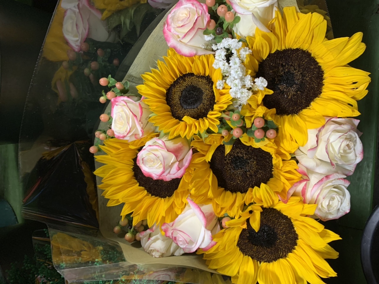 Sunflower pink roses