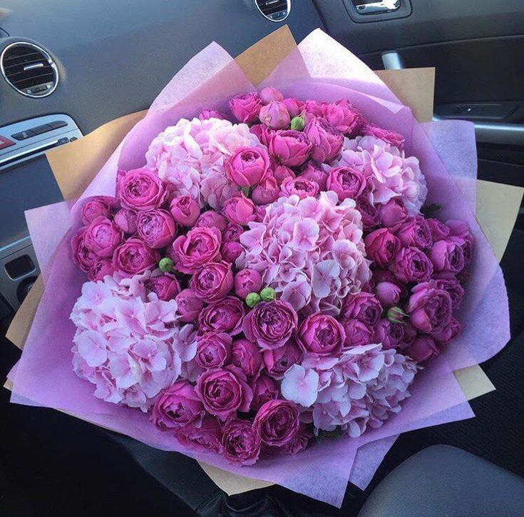 Bombastic Hydrangeas