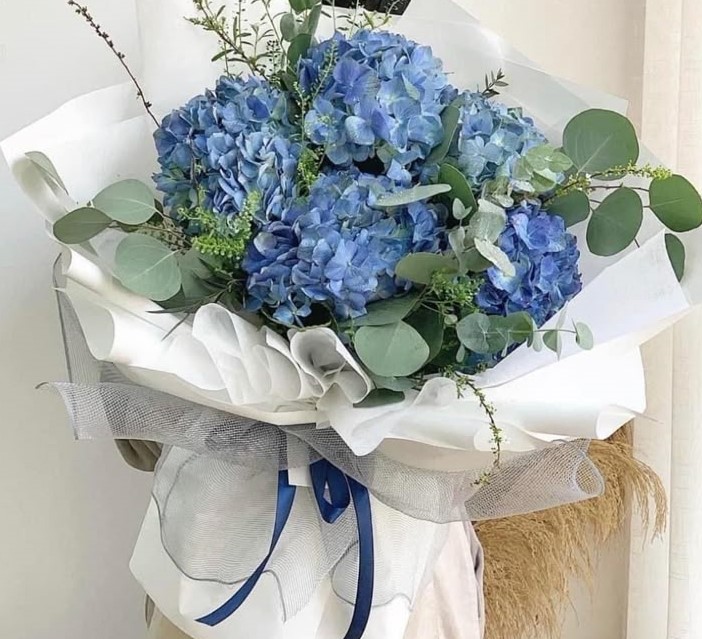 Blue Hydrangeas