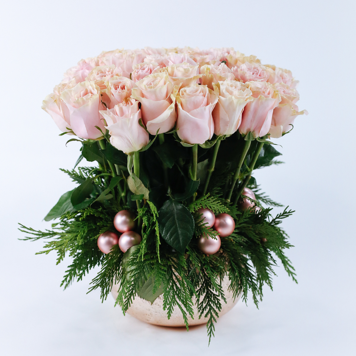 Dasher’s Christmas Ro