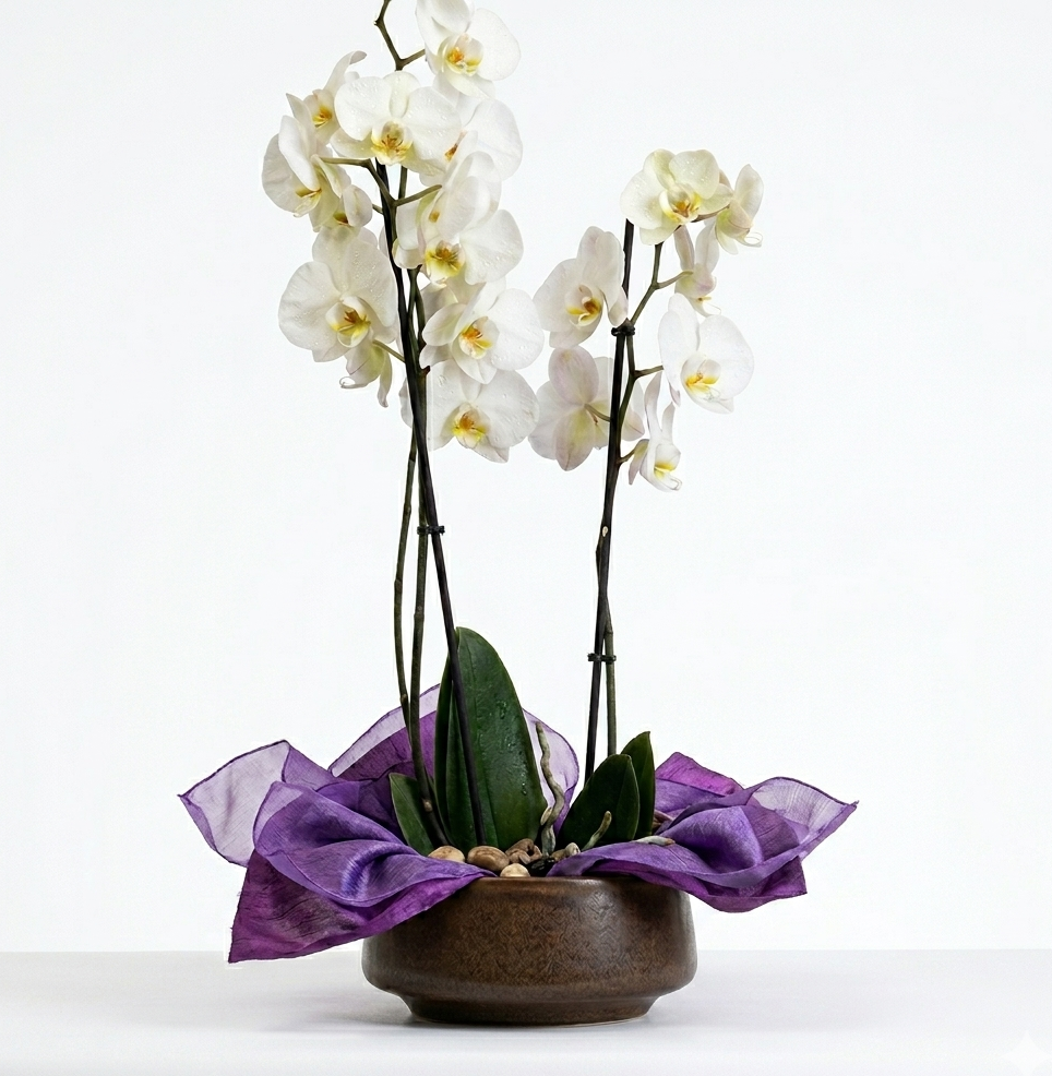 Original by Olympia Flowers — flowers available for delivery from Floom