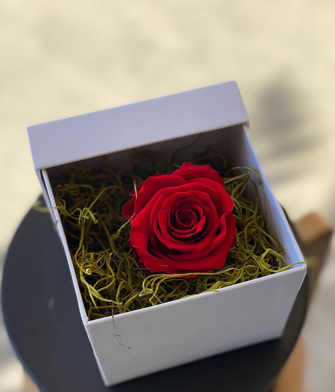 Single 1year red rose