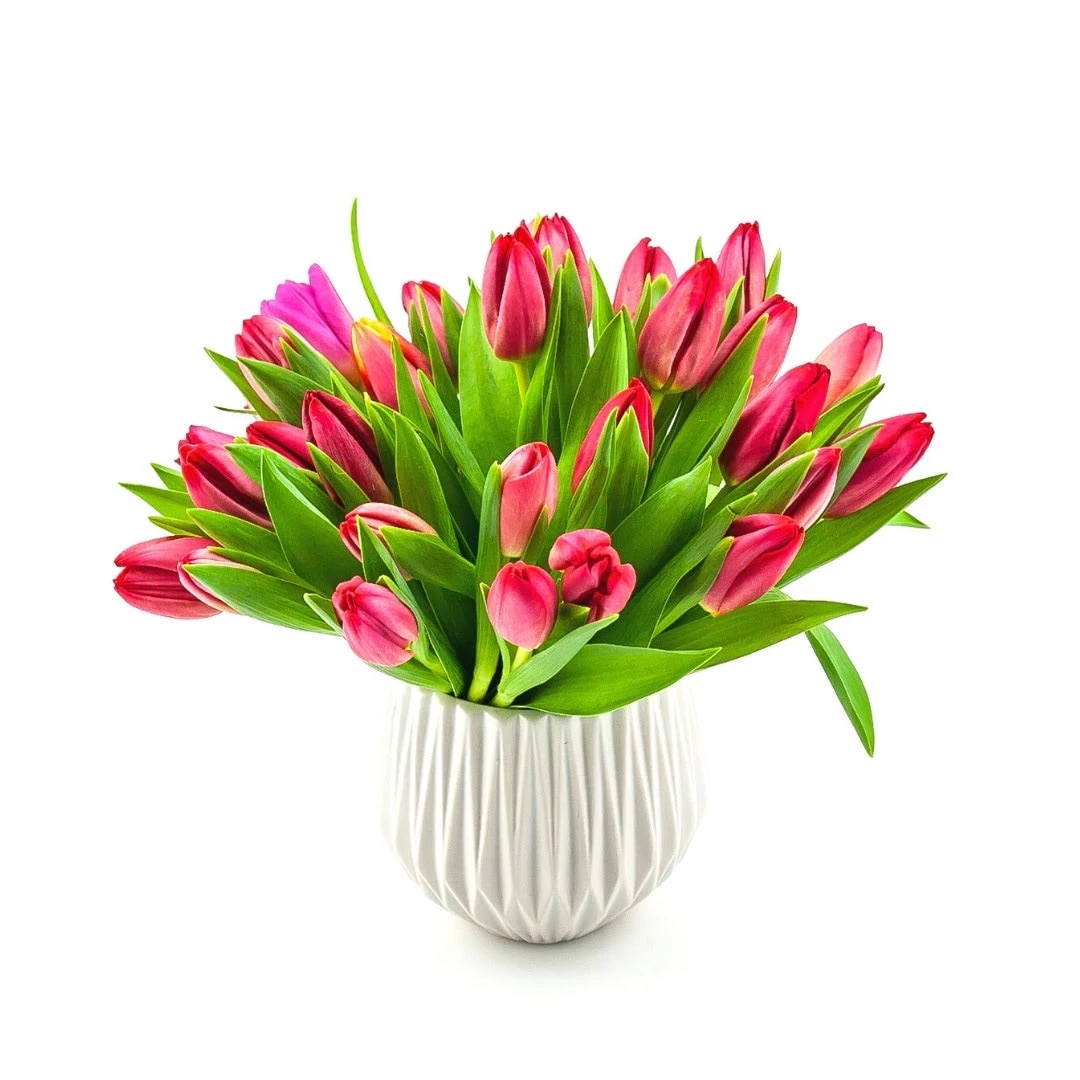 Modern Pink Tulips
