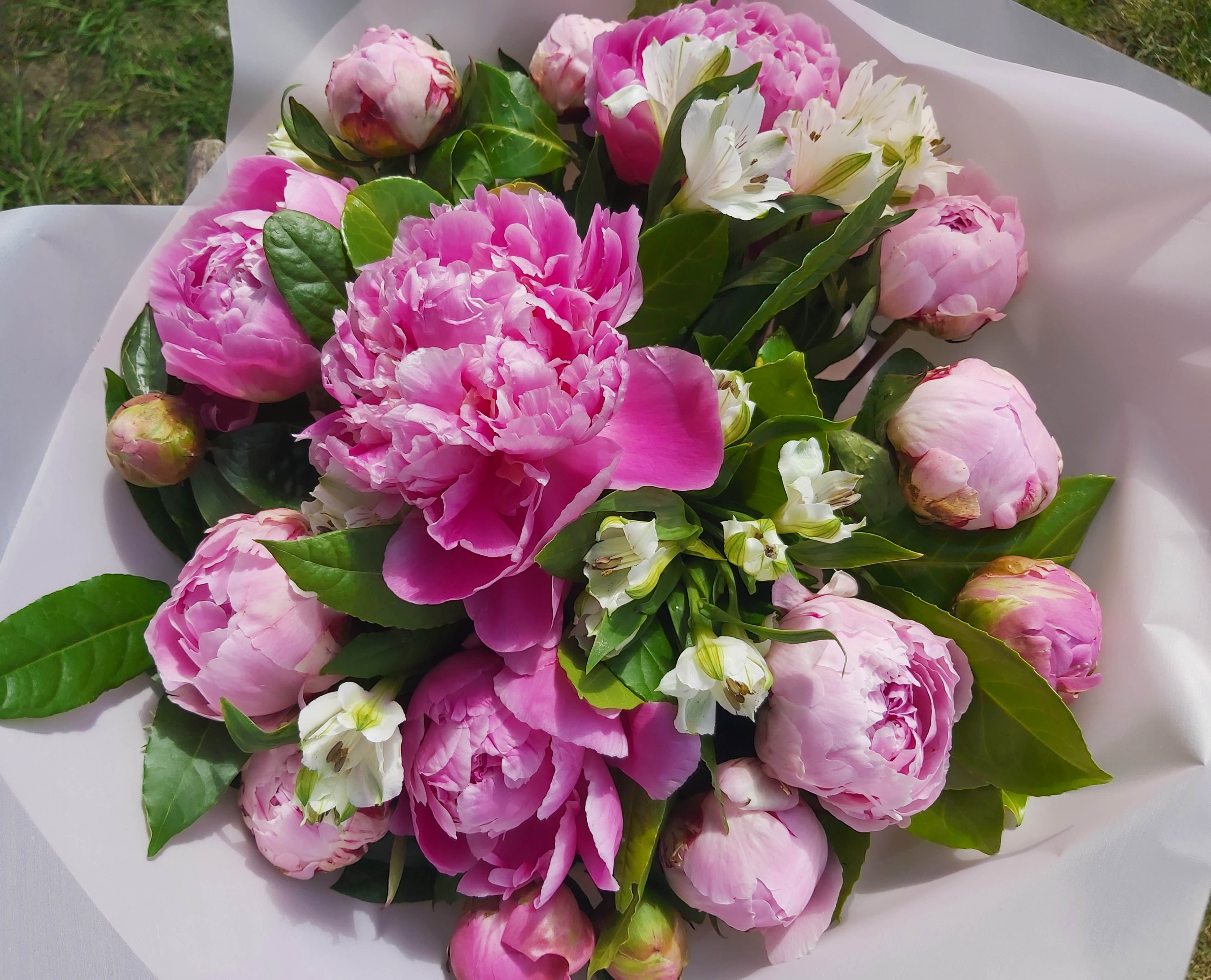 Pink peonies bouquet by Iridescent Florals — flowers available for delivery from Floom