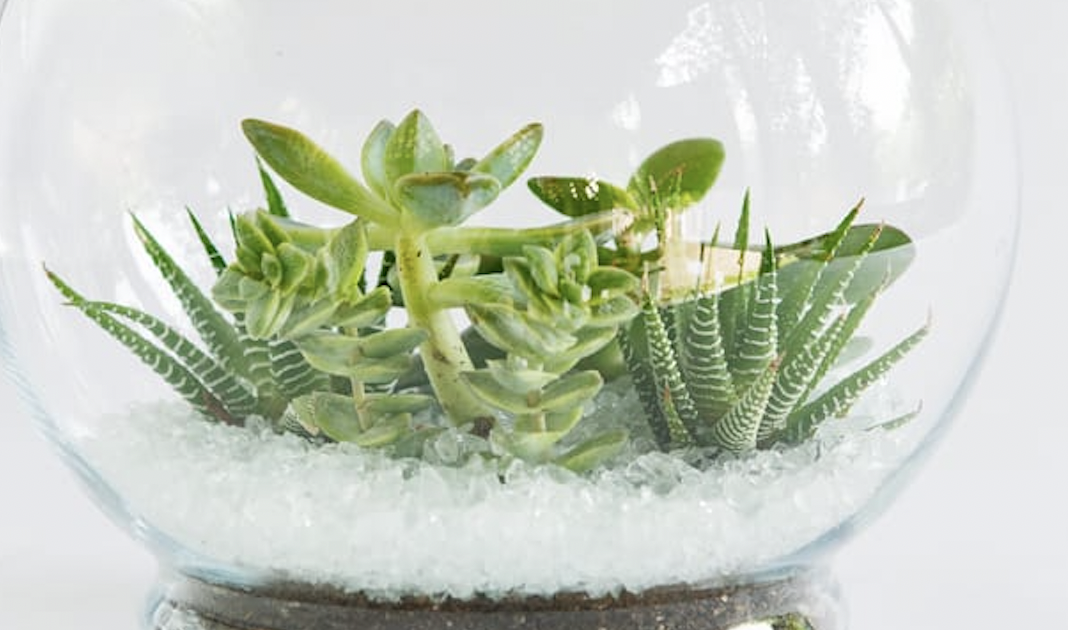 Crystal Bowl