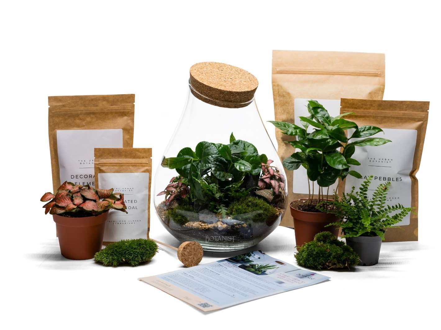 DIY Terrarium Kit H25