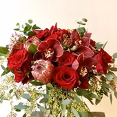 Special Roses Orchid