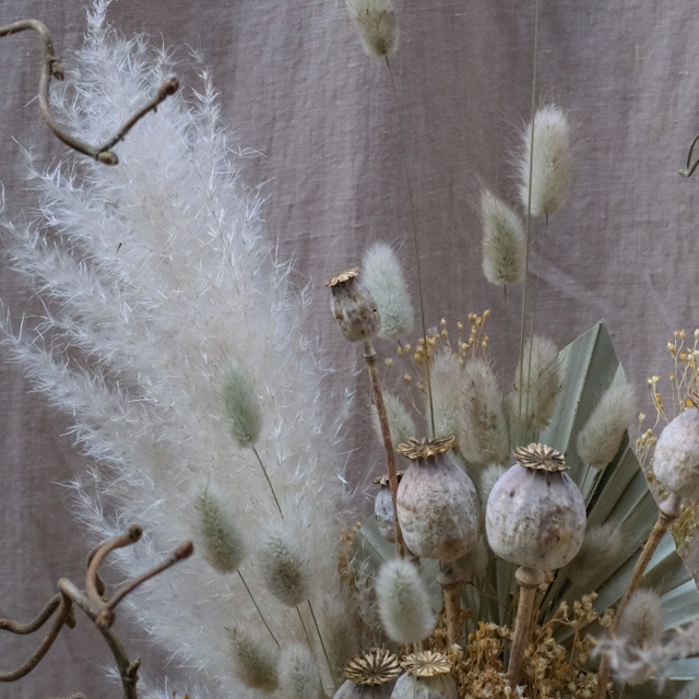 Fawn Woodland Dried