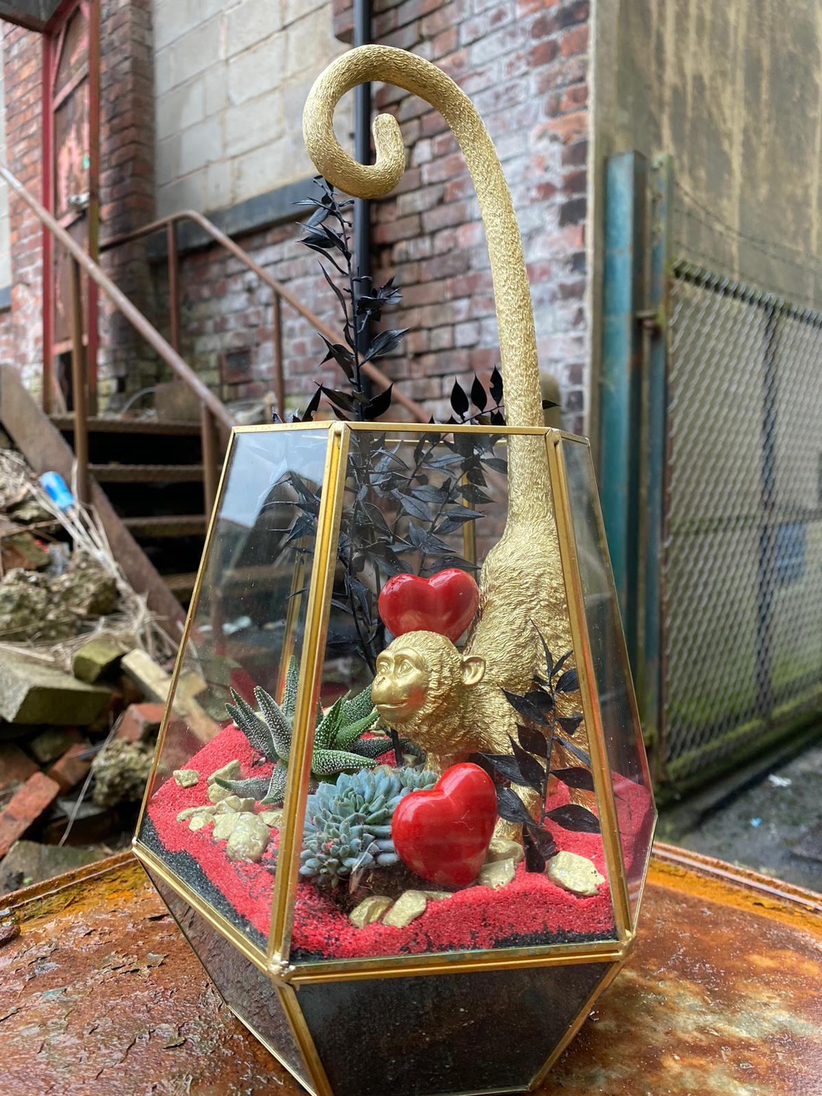 Monkey Mad Terrarrium