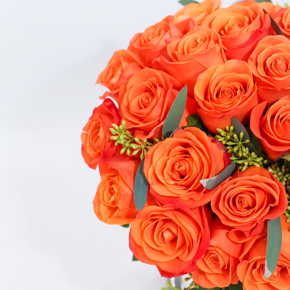 Mandarin Roses original