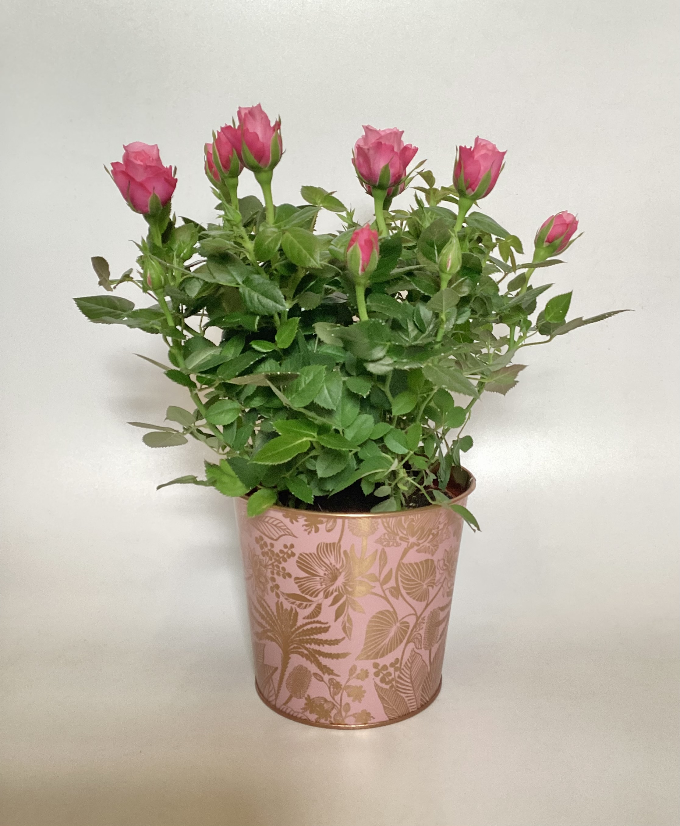 Original by Essence — flowers available for delivery from Floom