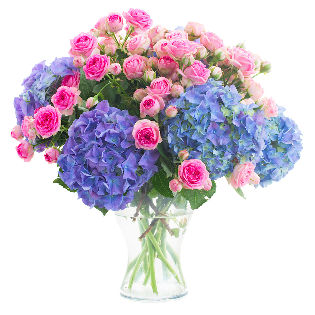 Pink & Blue Vase