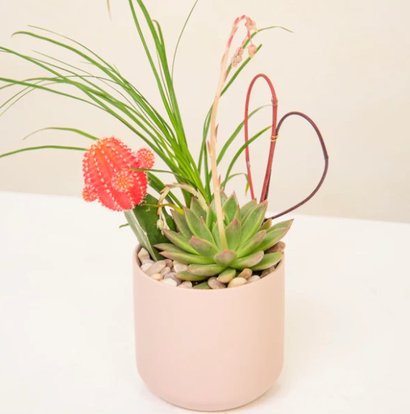 Love, From California