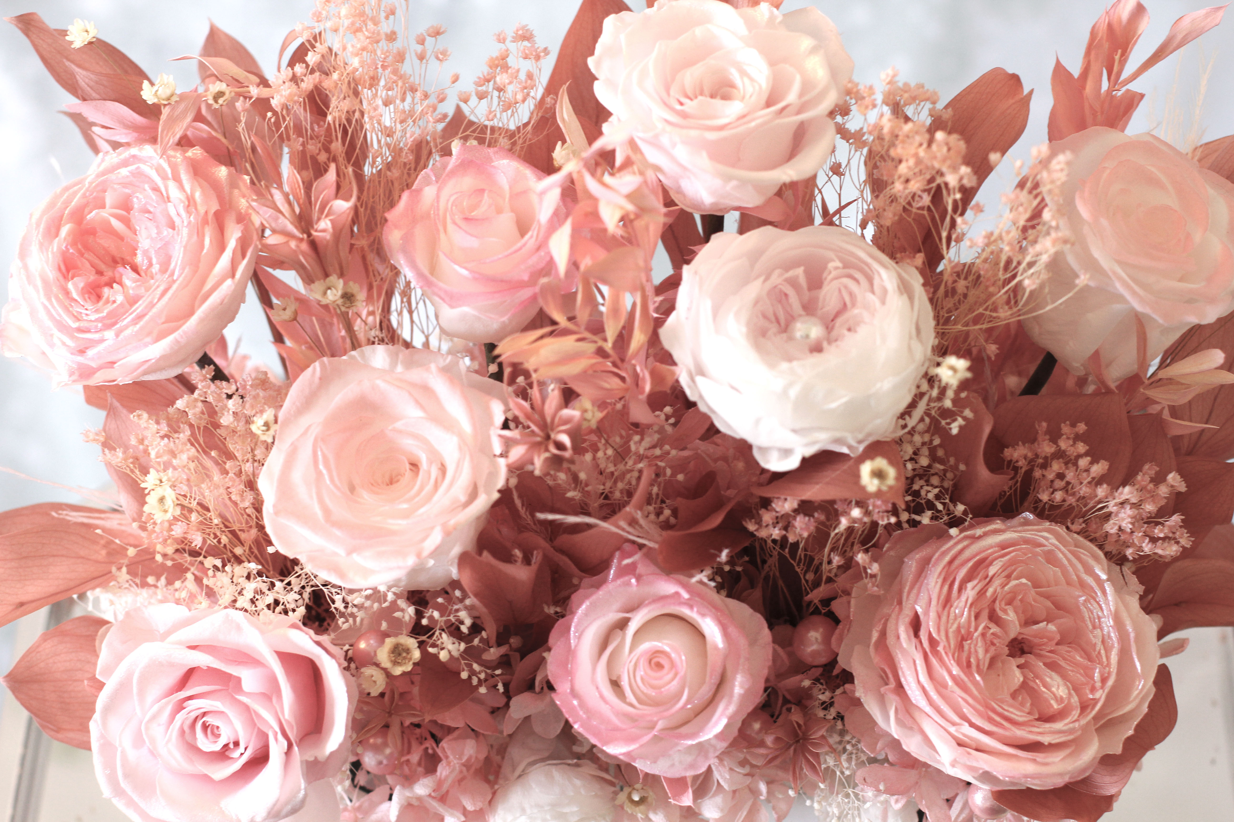 Pink Preserve garden