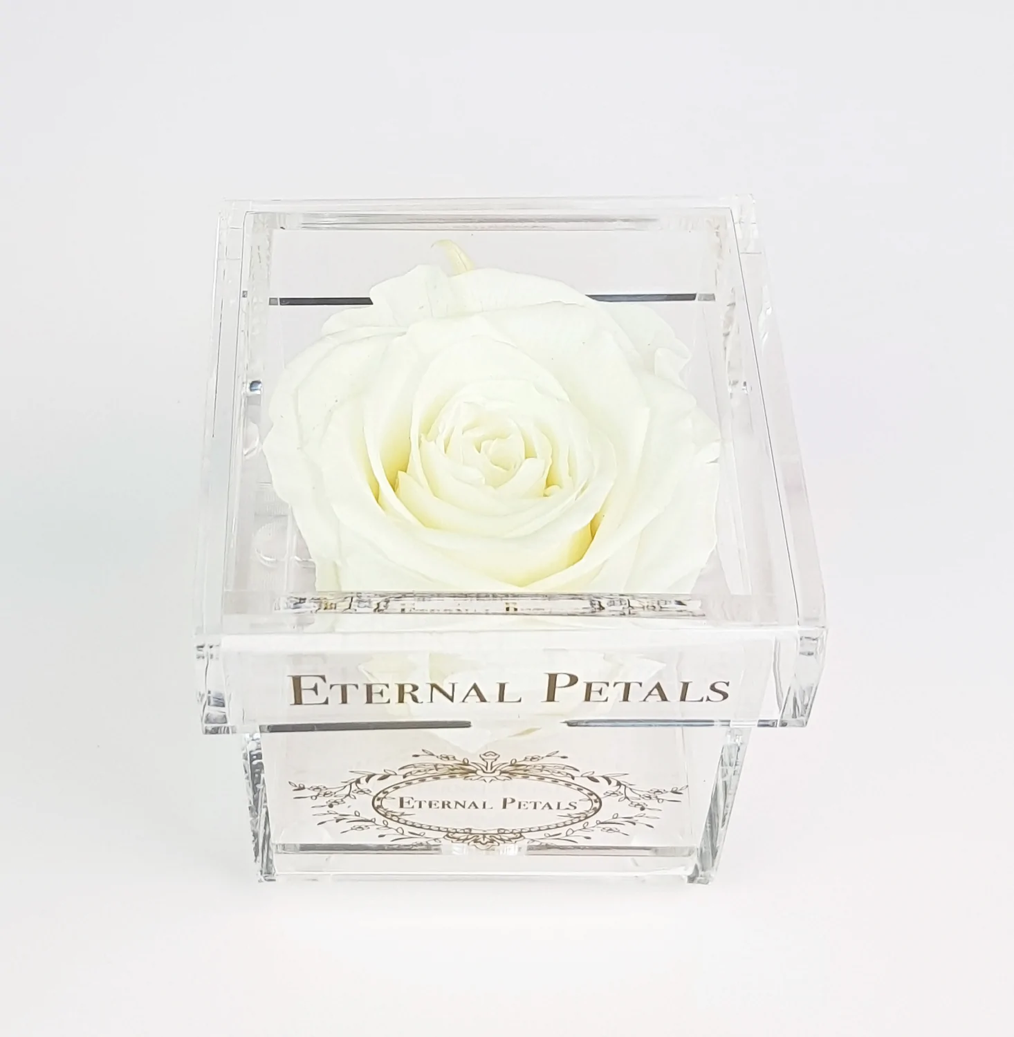 Eternal Rose - WHITE