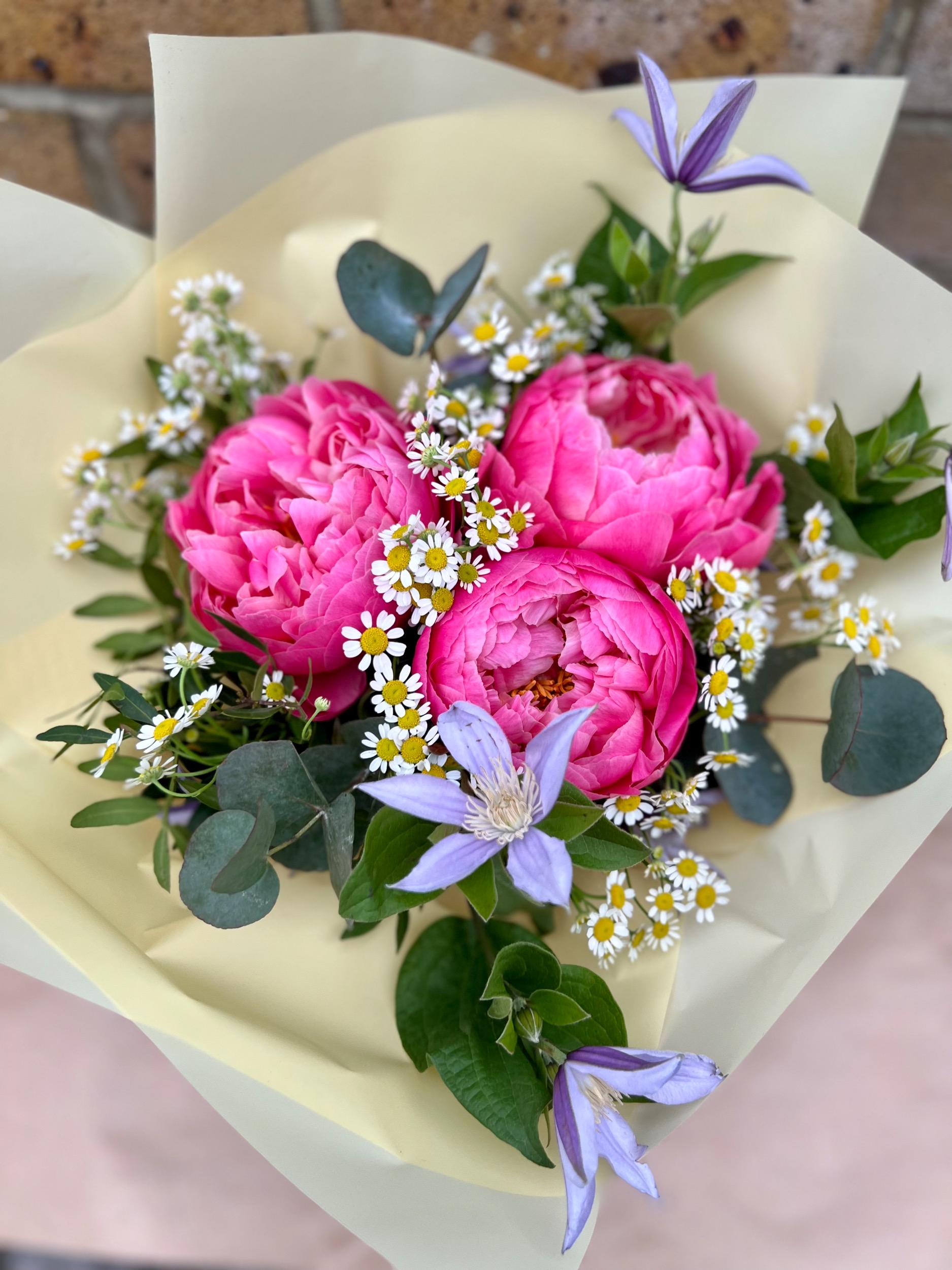 Coral Peonies